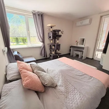 2 Bed Including Free Airport Ride Apartmán